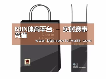 项目名称十四