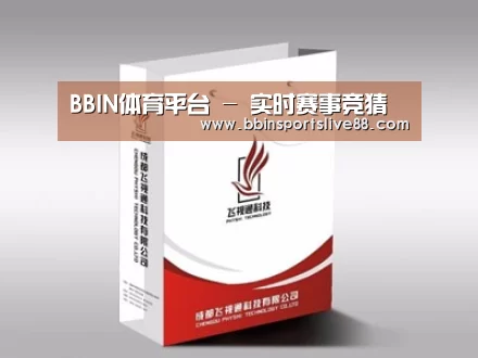 项目名称十三