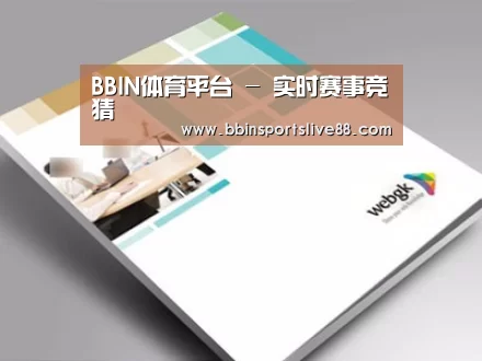 项目名称九