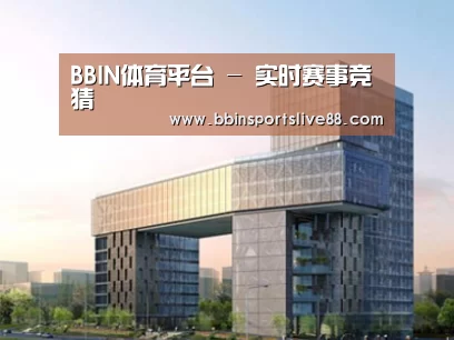 案例展示四