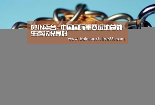 BBIN平台-中国国际重要湿地总体生态状况良好(图1) BBIN真人