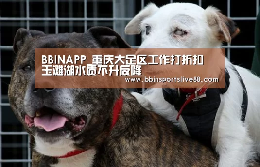 BBINAPP_重庆大足区工作打折扣 玉滩湖水质不升反降(图1) BBINAPP_重庆大足区工作打折扣 玉滩湖水质不升反降(图1)