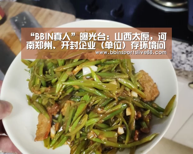 BBIN登录