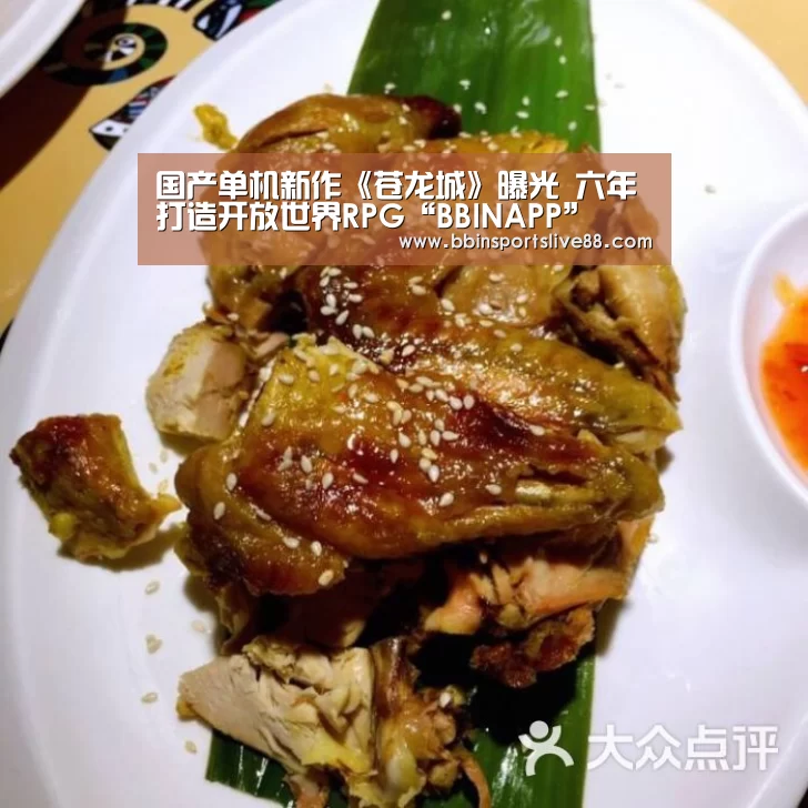 国产单机新作《苍龙城》曝光 六年打造开放世界RPG“BBINAPP”(图1) BBIN真人