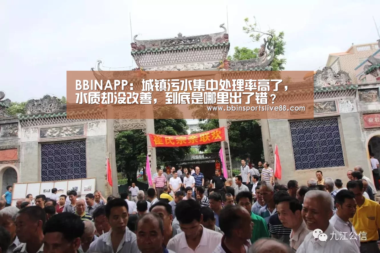 BBIN真人