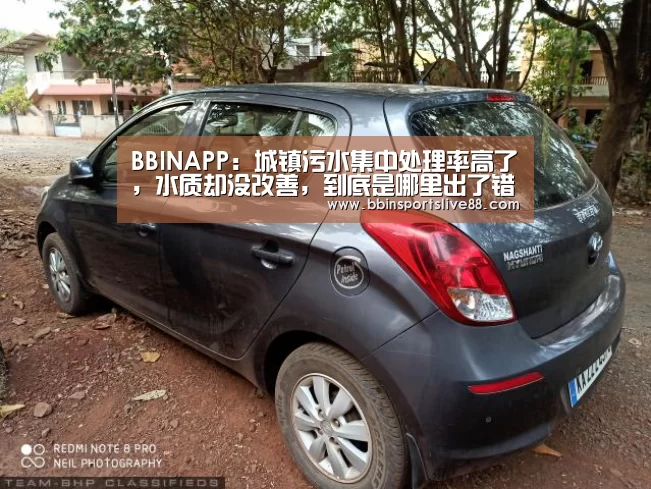 BBIN平台
